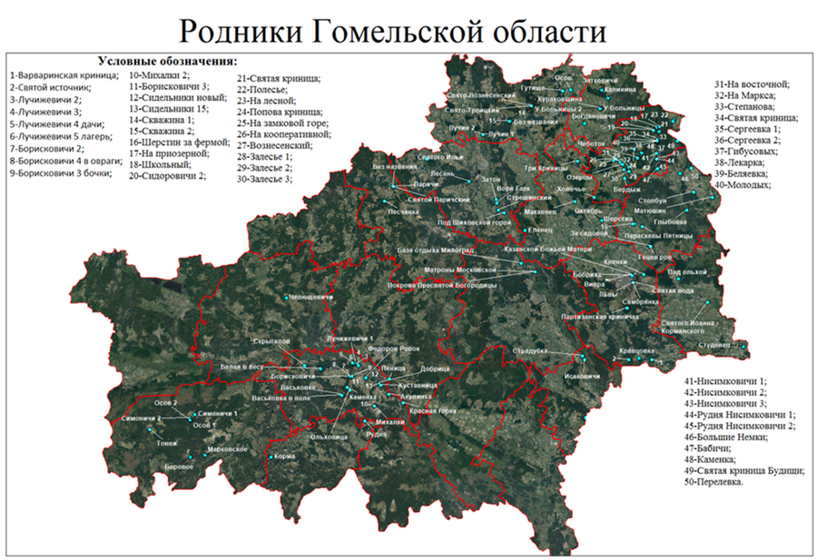 Какие районы гомеля. Ветковский район Гомельской области. Карта лесов Гомельской области. Деревня Перелевка Гомельская область Ветковский район. Гомельская область на карте.